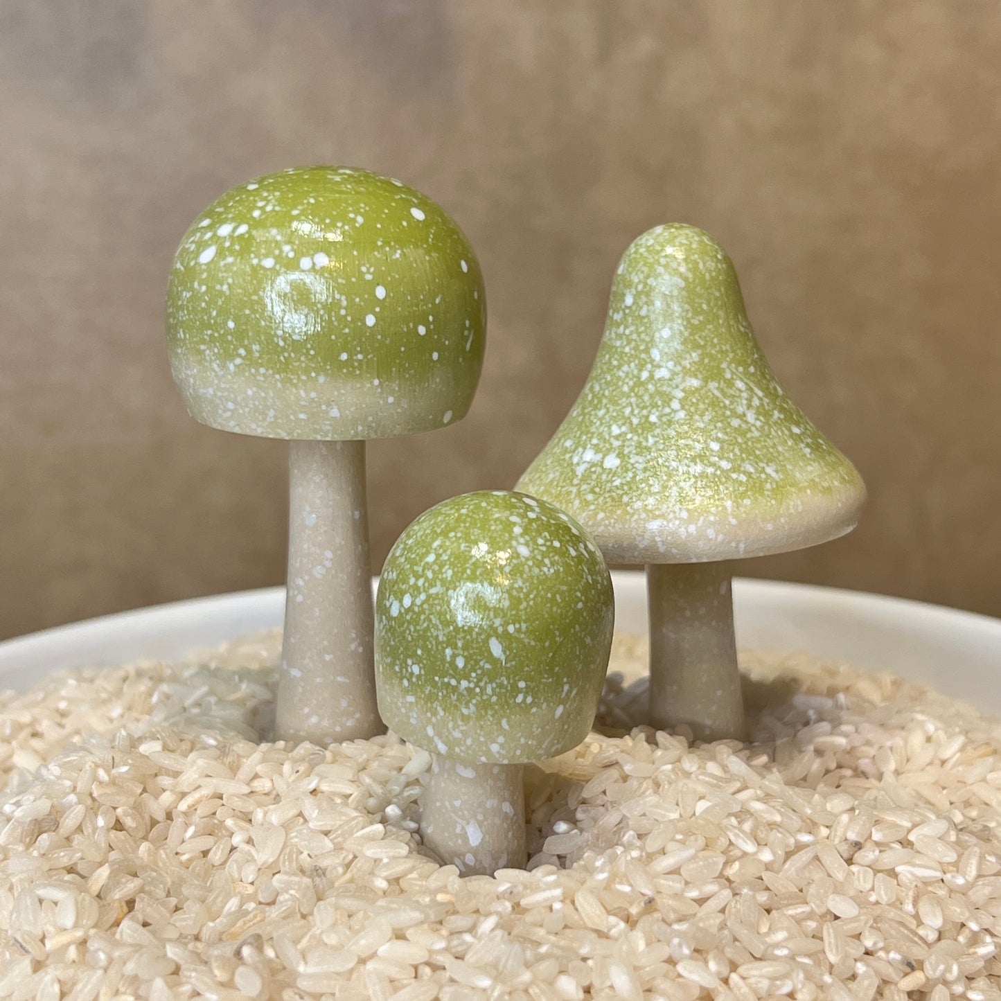 Handpainted Mushrooms - Garden and Shelf Decor