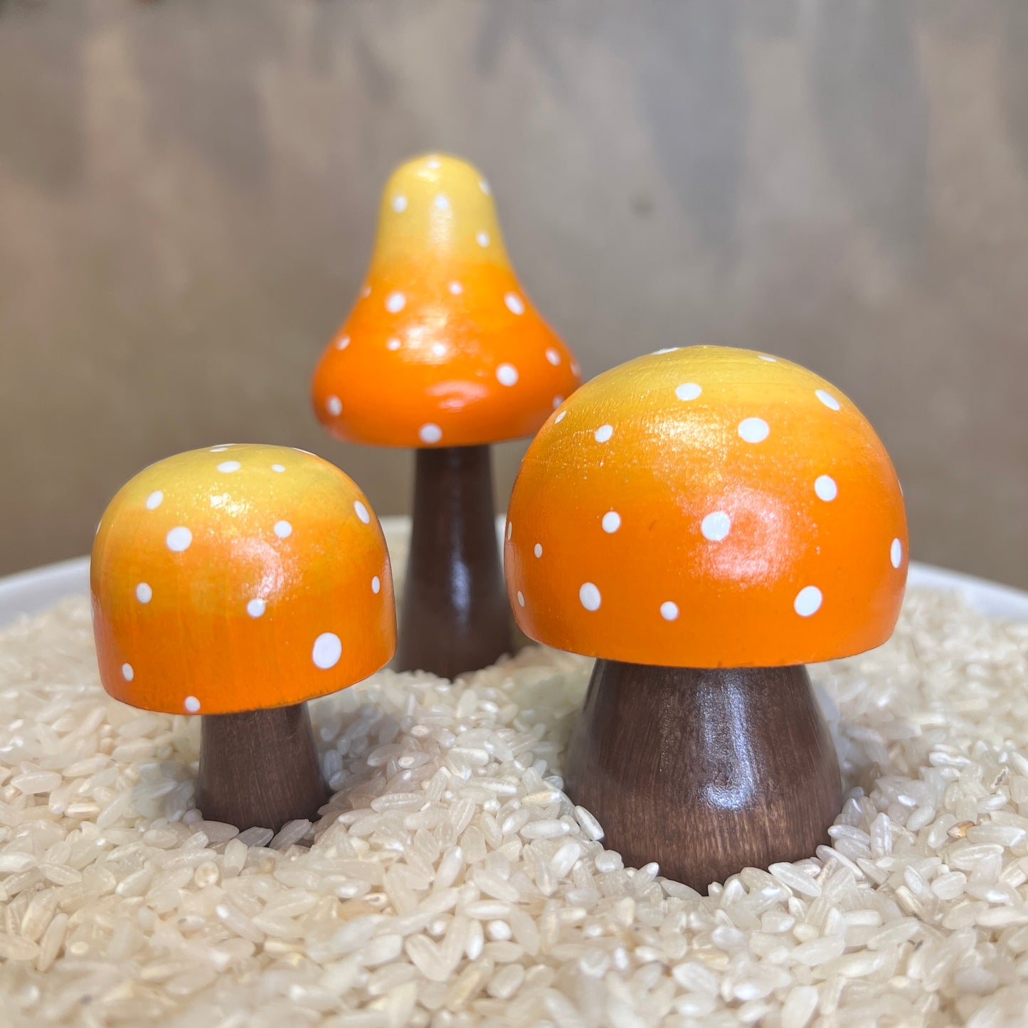 Handpainted Mushrooms - Garden and Shelf Decor