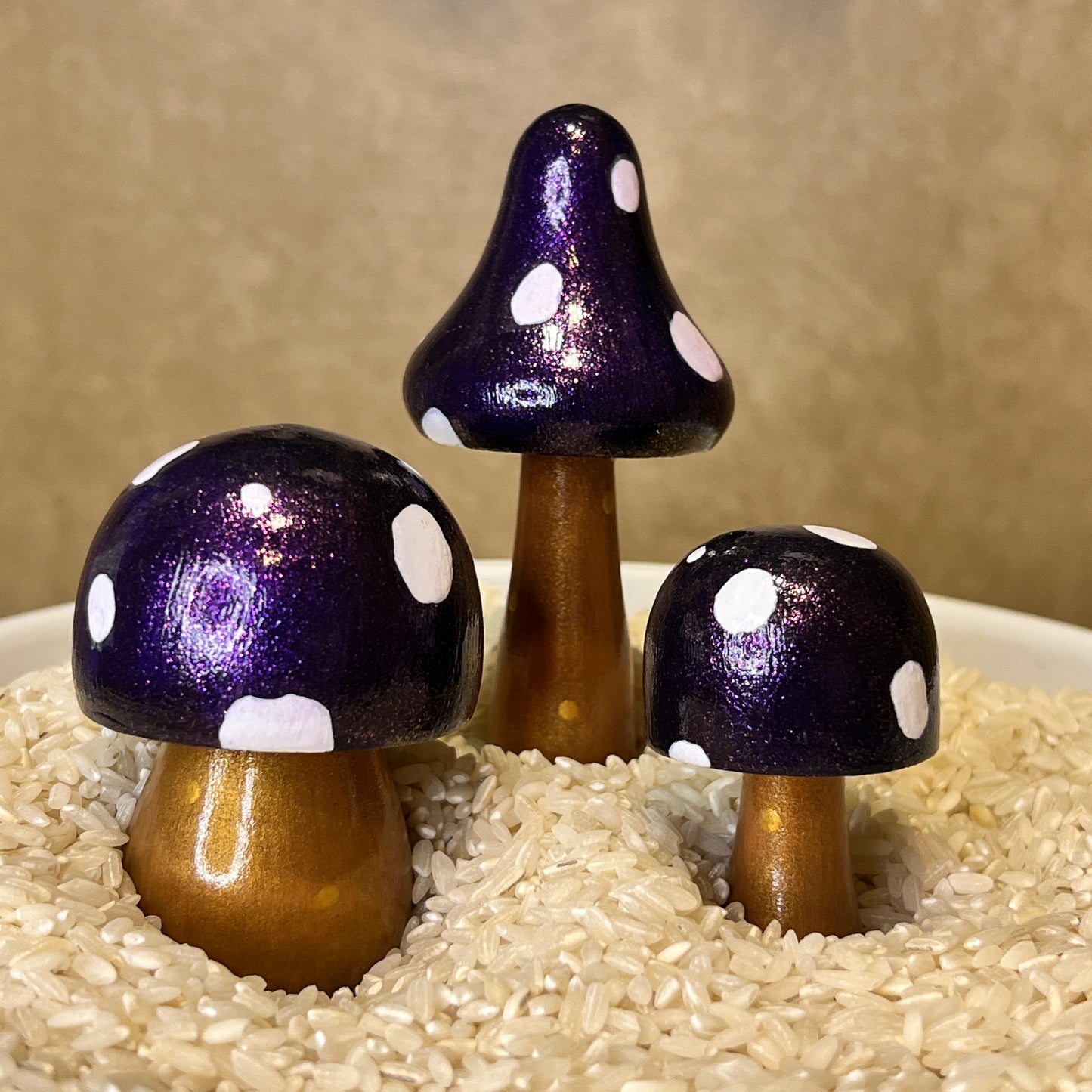 Handpainted Mushrooms - Garden and Shelf Decor