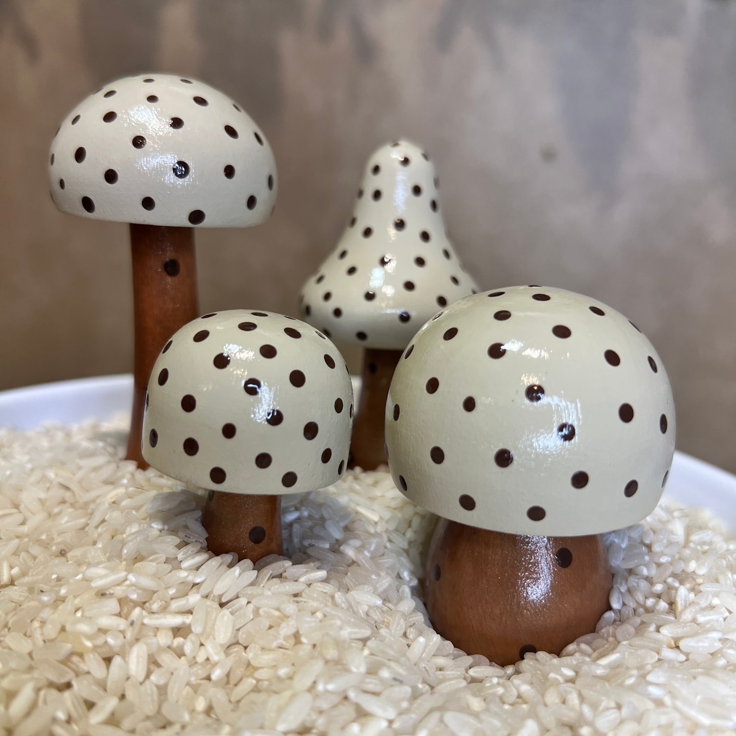 Handpainted Mushrooms - Garden and Shelf Decor