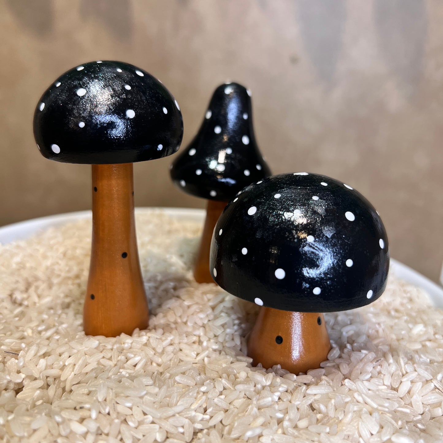 Handpainted Mushrooms - Garden and Shelf Decor *New Designs Added 8/12!*