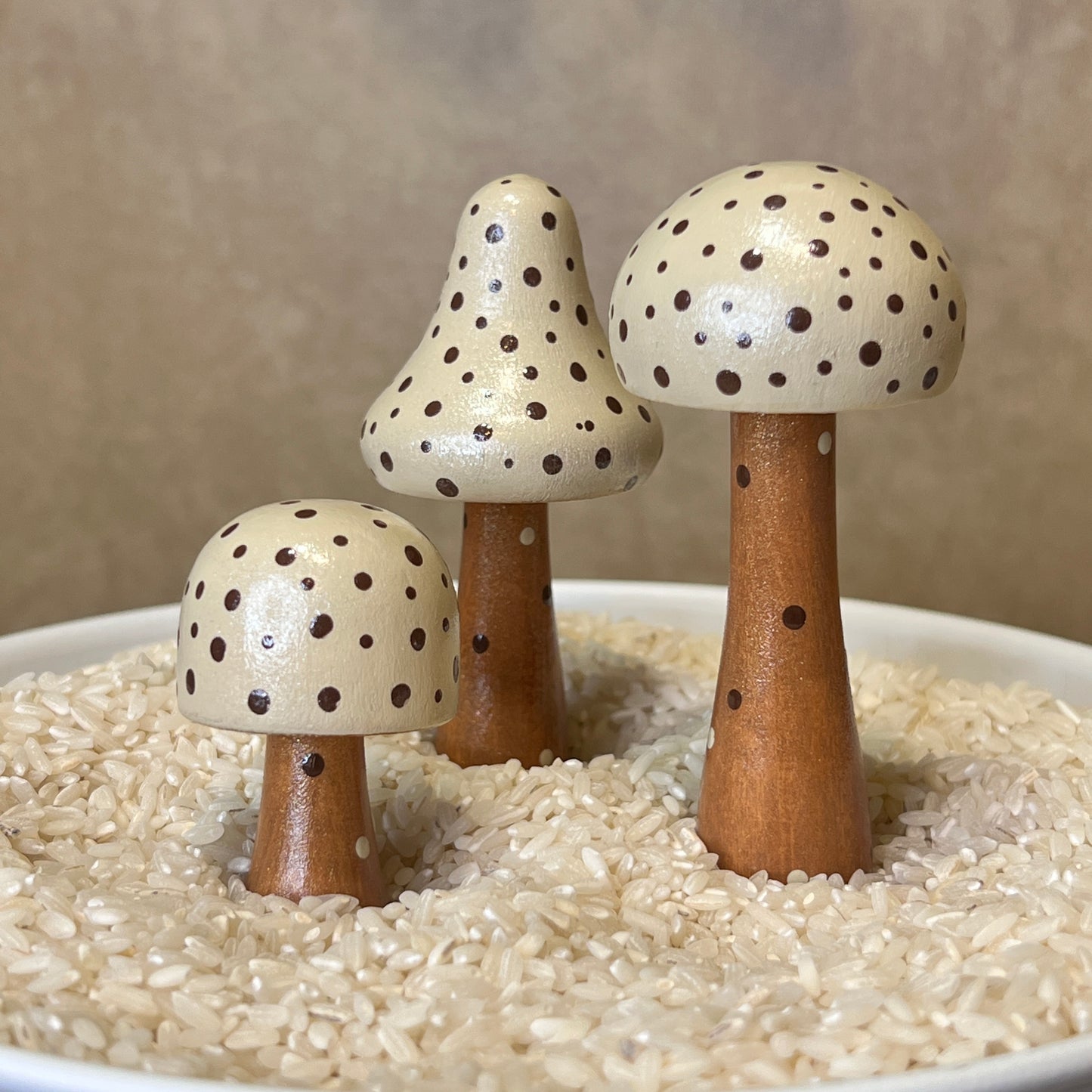 Handpainted Mushrooms - Garden and Shelf Decor