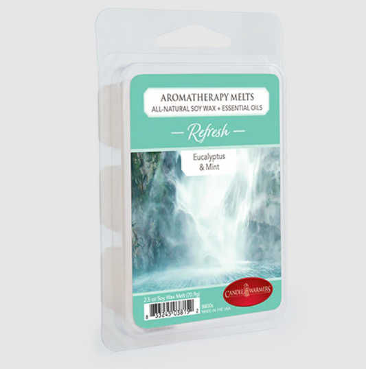 Eucalyptus & Mint | Aromatherapy Wax Melts