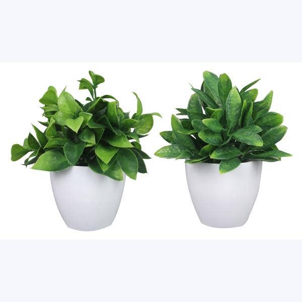Artificial Plant in White Planter