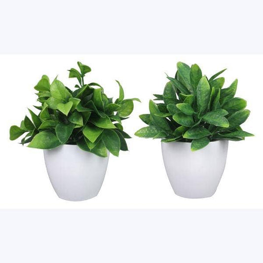 Artificial Plant in White Planter
