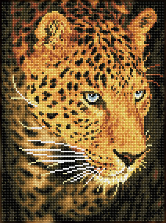 Leopard Portrait ⯁ Diamond Dotz