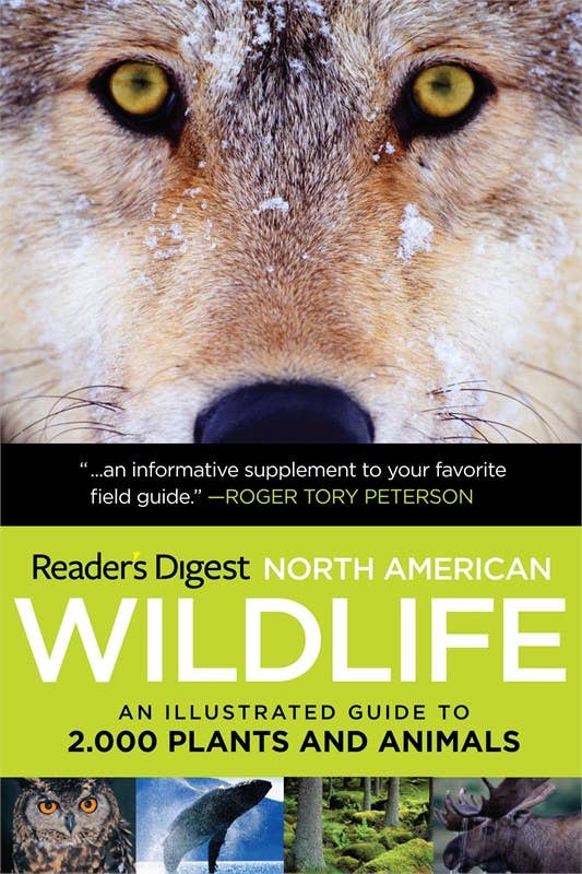 North American Wildlife Guide