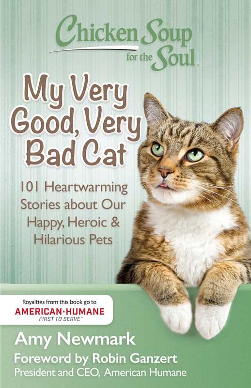 Chicken Soup for the Soul: My Very Good, Very Bad Cat by Amy Newmark