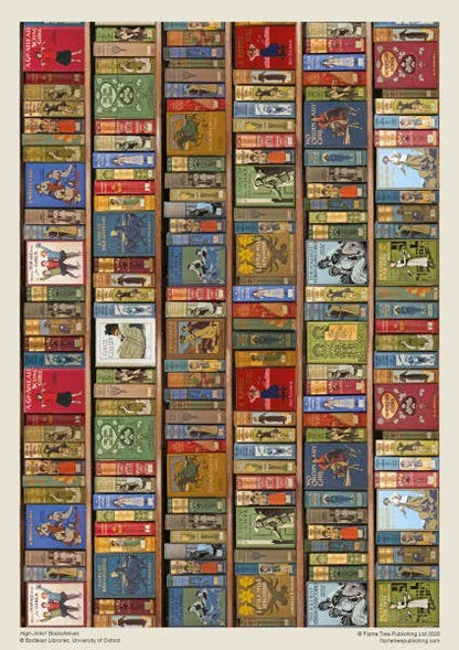 Bodleian High Jinks! Bookshelves 1000 Piece Jigsaw Puzzle