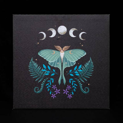 Luna Moth Light Up Canvas Art