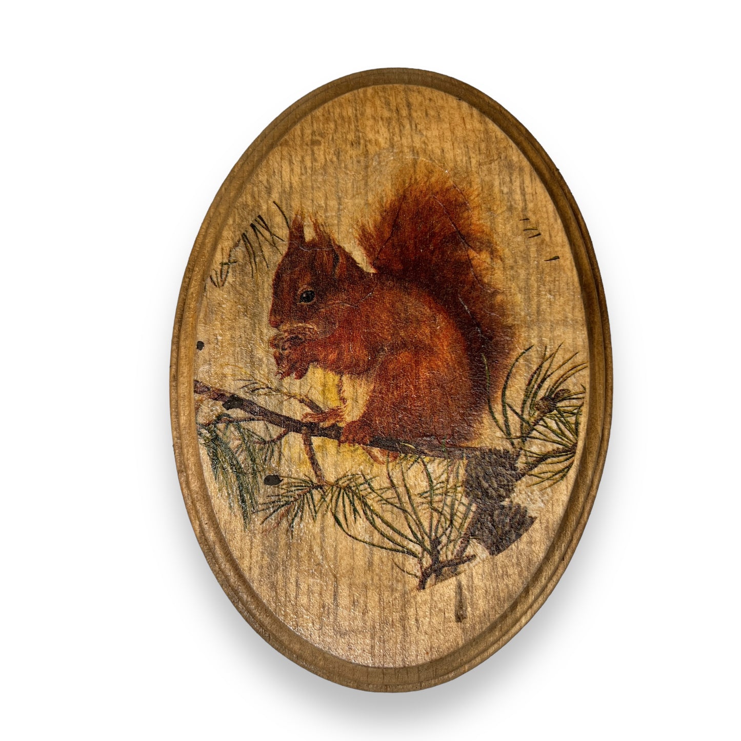 Squirrel Oval Plaque