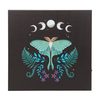 Luna Moth Light Up Canvas Art