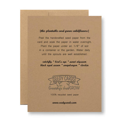 Plantable Greeting Card - no one else