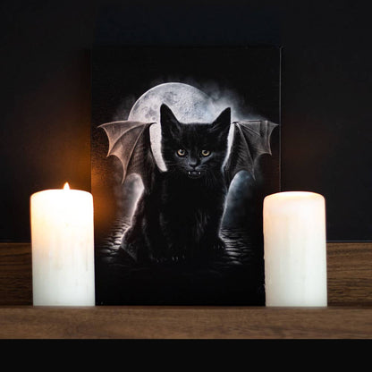 Bat Cat Canvas Art