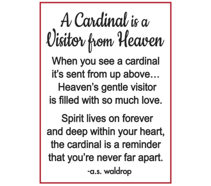 A cardinal is a visitor from heaven poem by a.s. waldrop