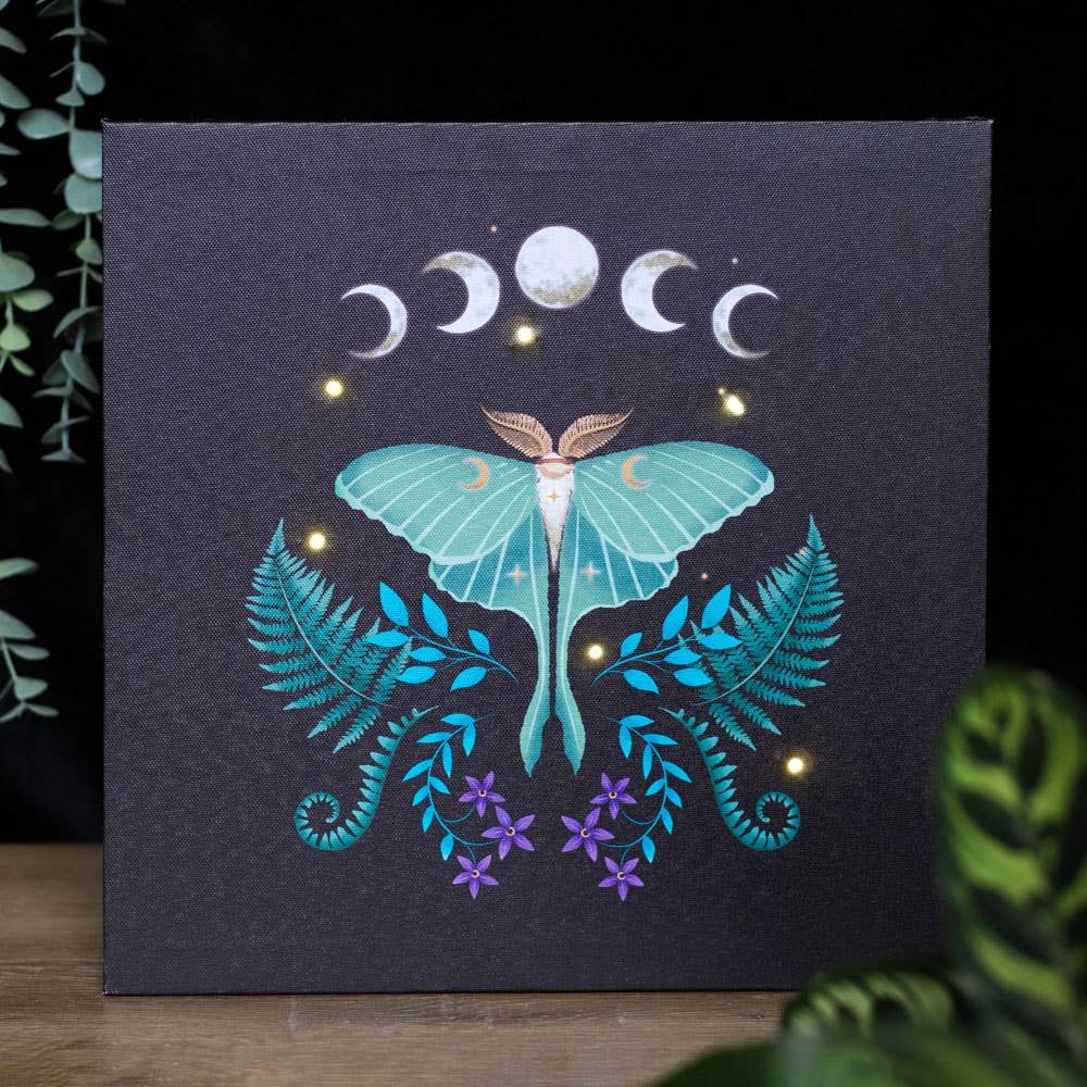 Luna Moth Light Up Canvas Art