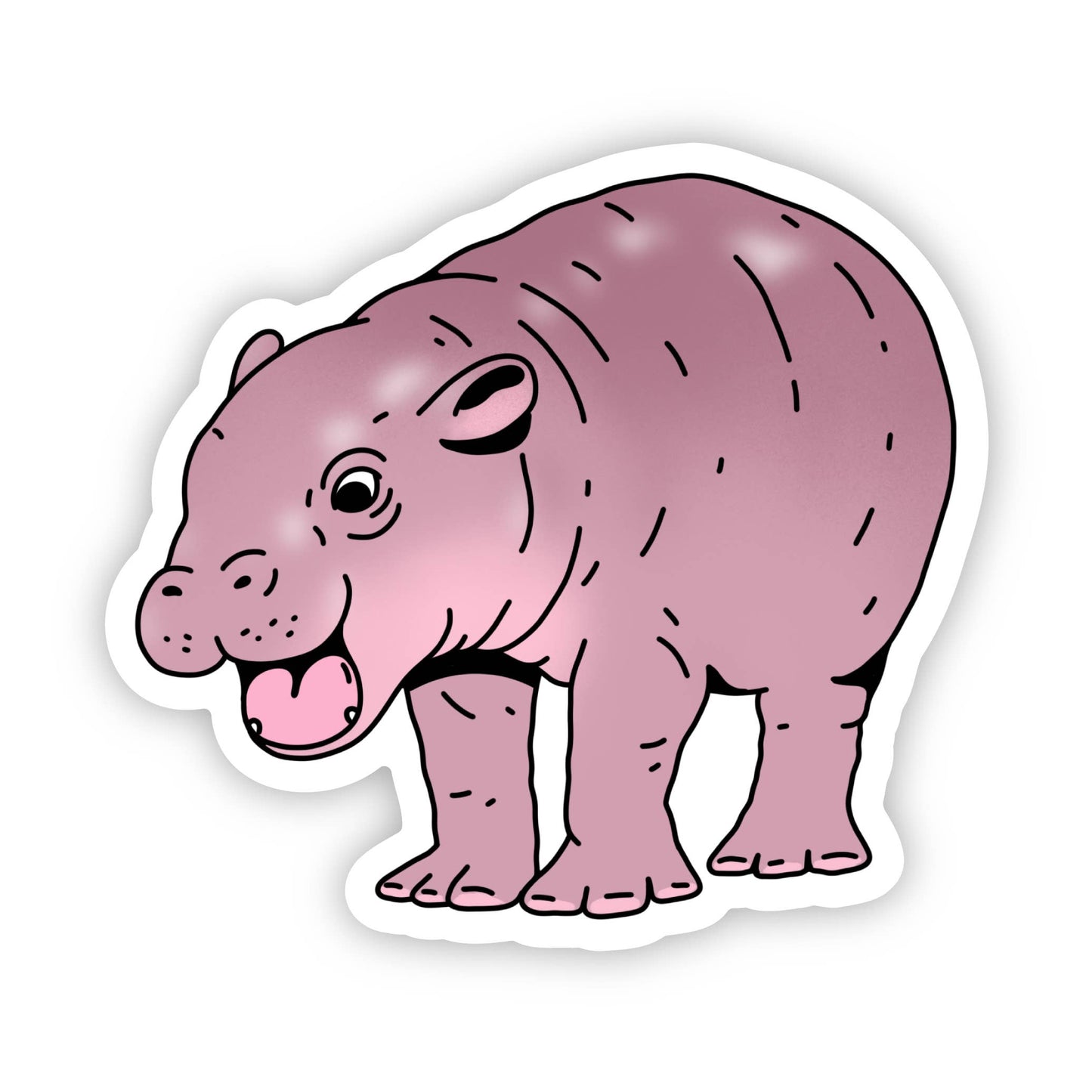 Baby Moo Deng the pygmy hippo sticker.